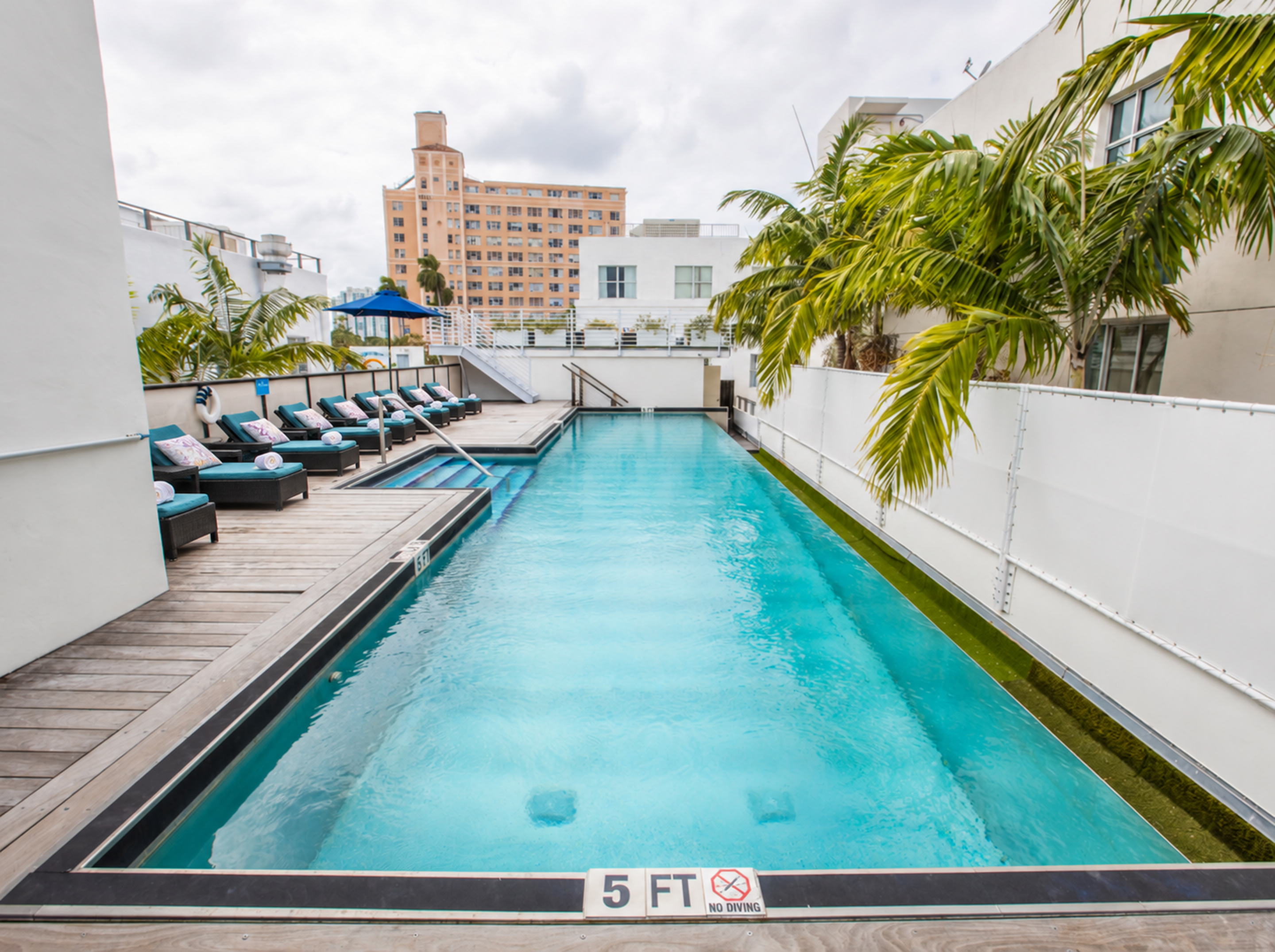 A rectangular pool with a wooden deck and lounge chairs, surrounded by palm trees and a city skyline in the background.